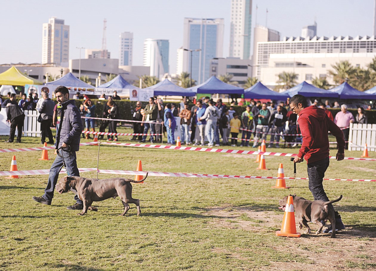 استعراض لكلبين مشاركين في البطولة