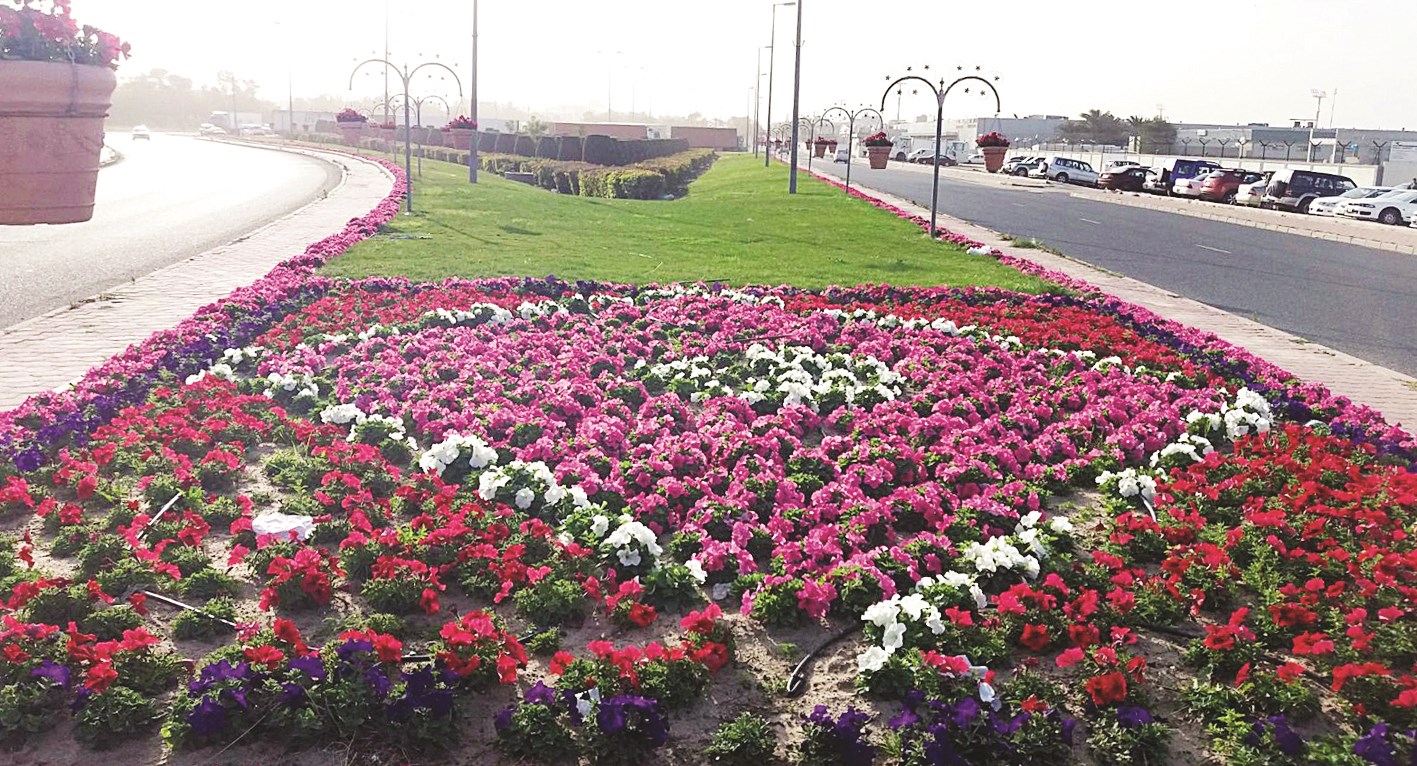 u0633u062cu0627u062fu0629 u0633u0627u062du0631u0629 u0645u0646 u0627u0644u0623u0644u0648u0627u0646