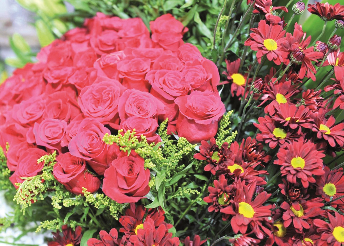 u0627u0644u062cu0648u0631u064a u0627u0644u0623u062du0645u0631 ... u0646u062cu0645 u0627u0644u064au0648u0645  (u062au0635u0648u064au0631 u0633u0639u062f u0647u0646u062fu0627u0648u064a)