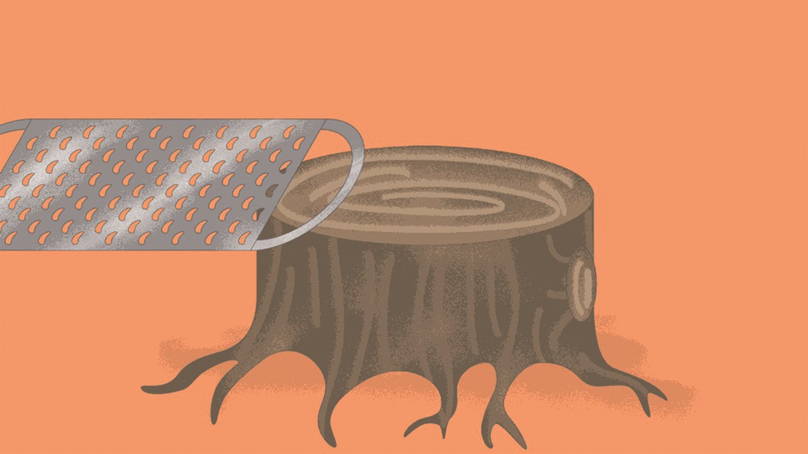 u0647u0644 u064au062fu062eu0644 u0627u0644u062eu0634u0628 u0641u064a u062au062du0636u064au0631 u00abu0627u0644u0628u0627u0631u0645u064au0632u0627u0646u00bbu061f