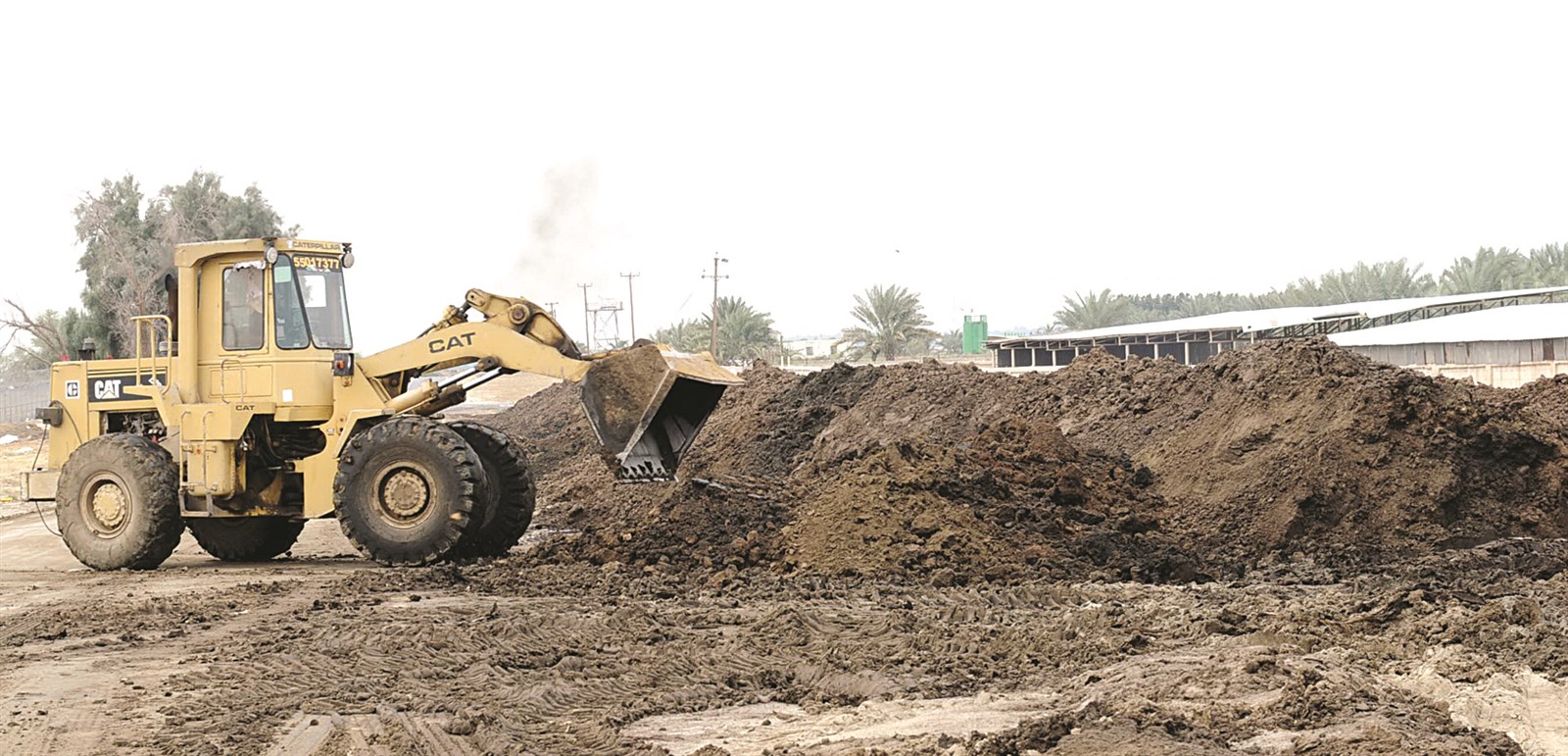 u0623u0633u0645u062fu0629 u0639u0636u0648u064au0629 u0645u0644u0642u0627u0629 u062eu0627u0631u062c u0623u0633u0648u0627u0631 u0645u0632u0631u0639u0629 u0645u062eu0627u0644u0641u0629   (u062au0635u0648u064au0631 u0646u0627u064au0641 u0627u0644u0639u0642u0644u0629)