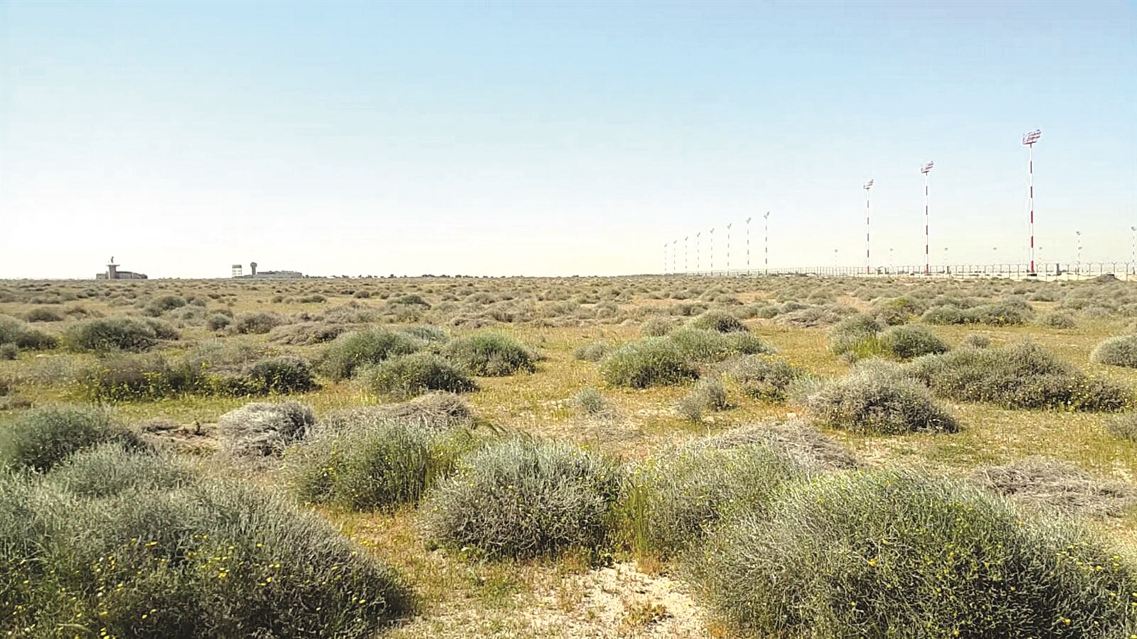 جوار المطار