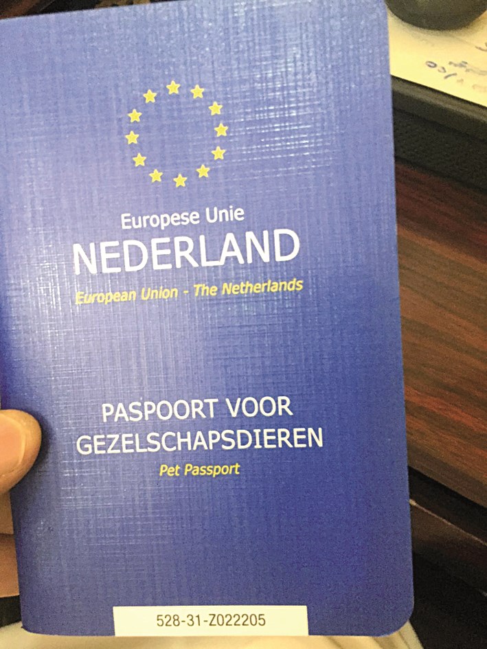 جواز سفر الكلب «إندي»