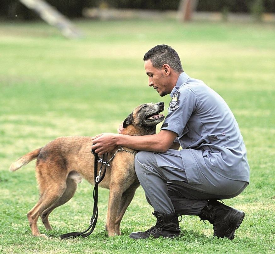لحظات الوداع بين الكلب والمدرب