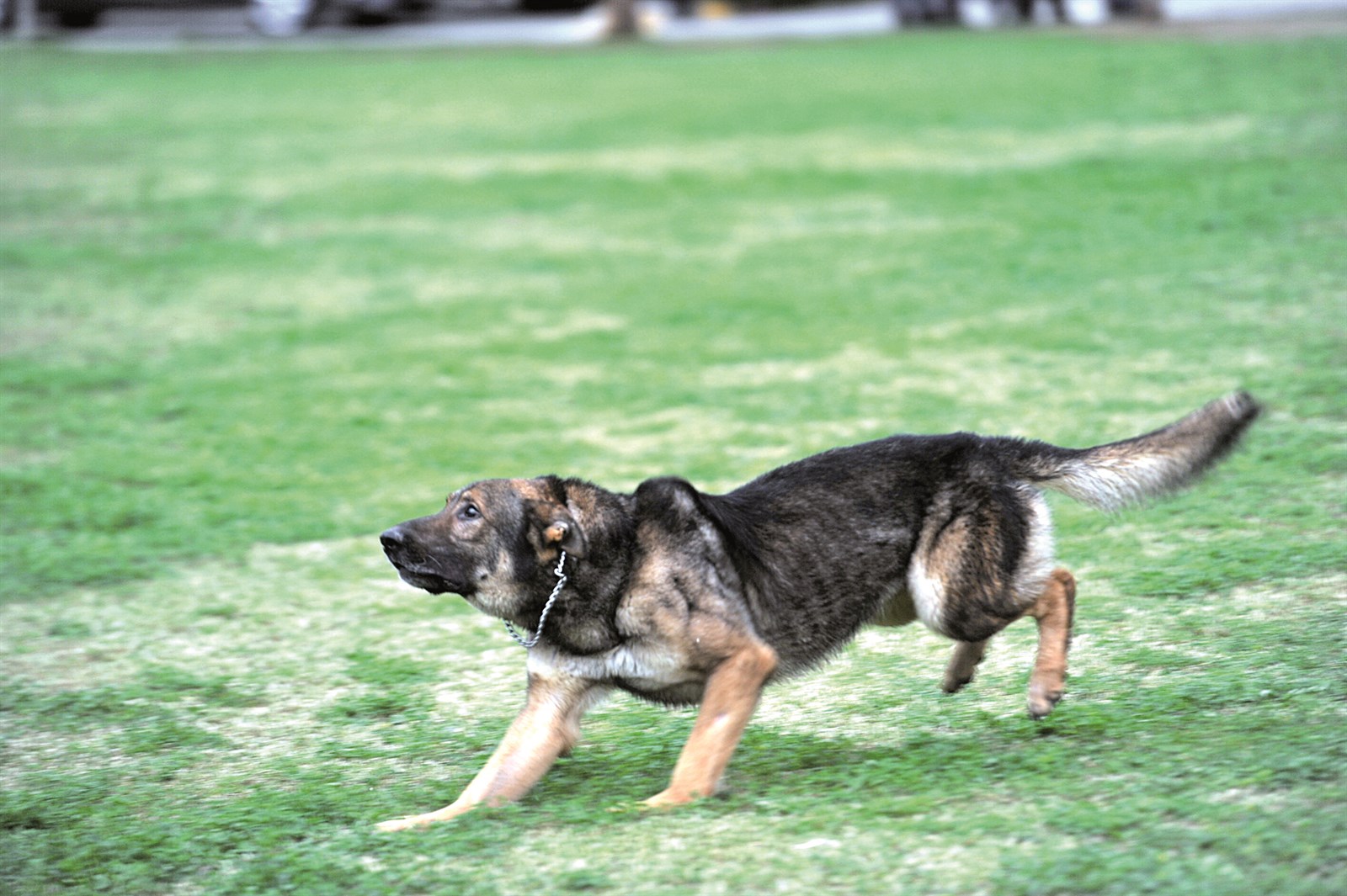 تحفز واستعداد