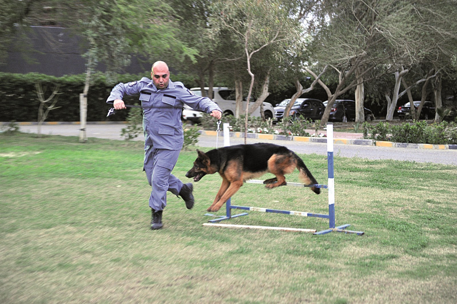 إندي يستعرض مهارات قفز الحواجز