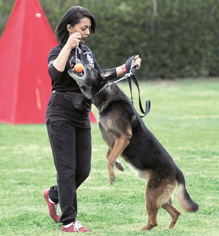 u0643u0644u0628 u0622u062eu0631 u0648u0627u0633u062au0639u0631u0627u0636 u0627u0644u0645u0647u0627u0631u0627u062a (u062au0635u0648u064au0631 u0646u0648u0631 u0647u0646u062fu0627u0648u064a)