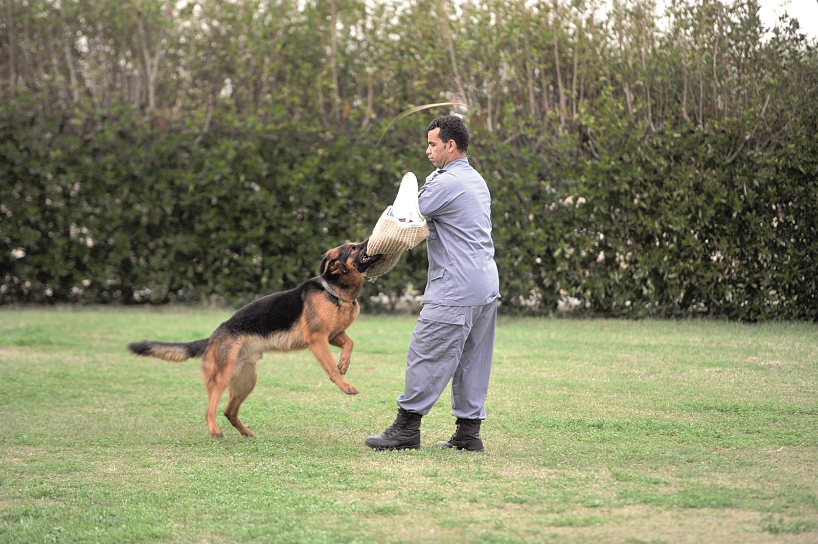 عرض للكشف عن المخدرات