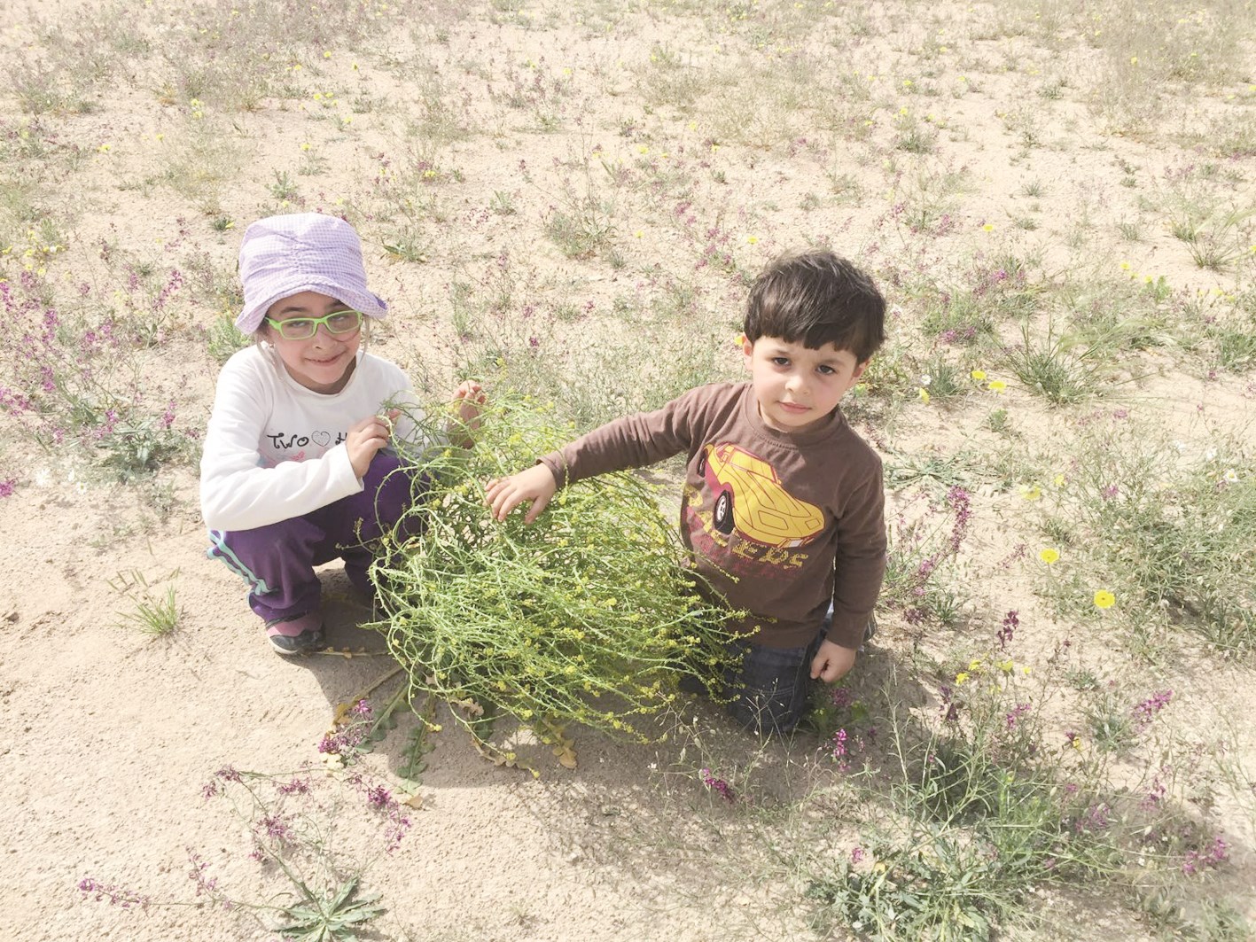 النباتات المزهرة انتشرت في المكان الذي كان موحشاً