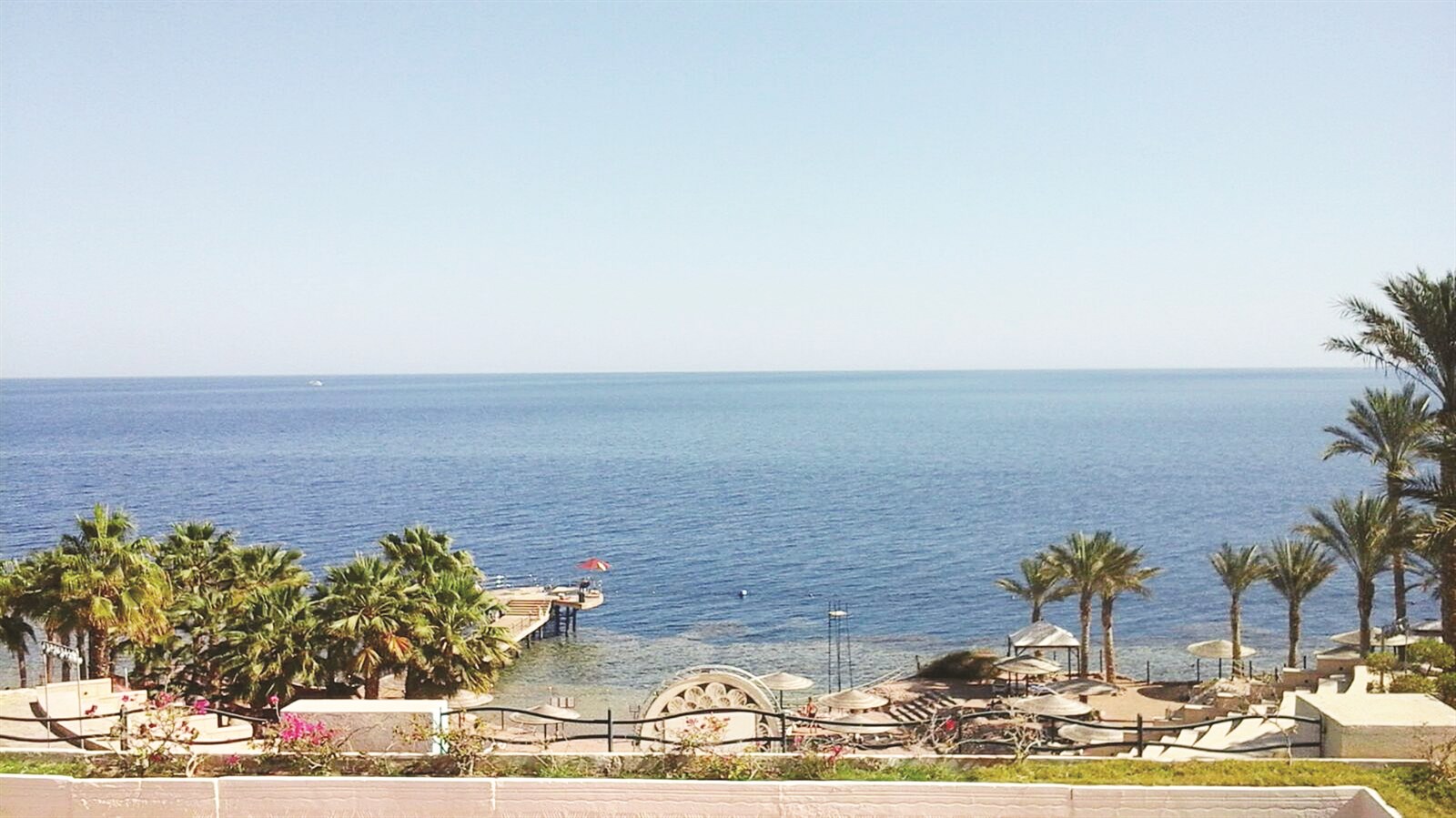 u0634u0631u0645 u0627u0644u0634u064au062e... u062fu0639u0648u0629 u0645u0641u062au0648u062du0629 u0644u0644u0627u0633u062au0645u062au0627u0639 u0644u064au0644u0627u064b u0648u0646u0647u0627u0631u0627u064b