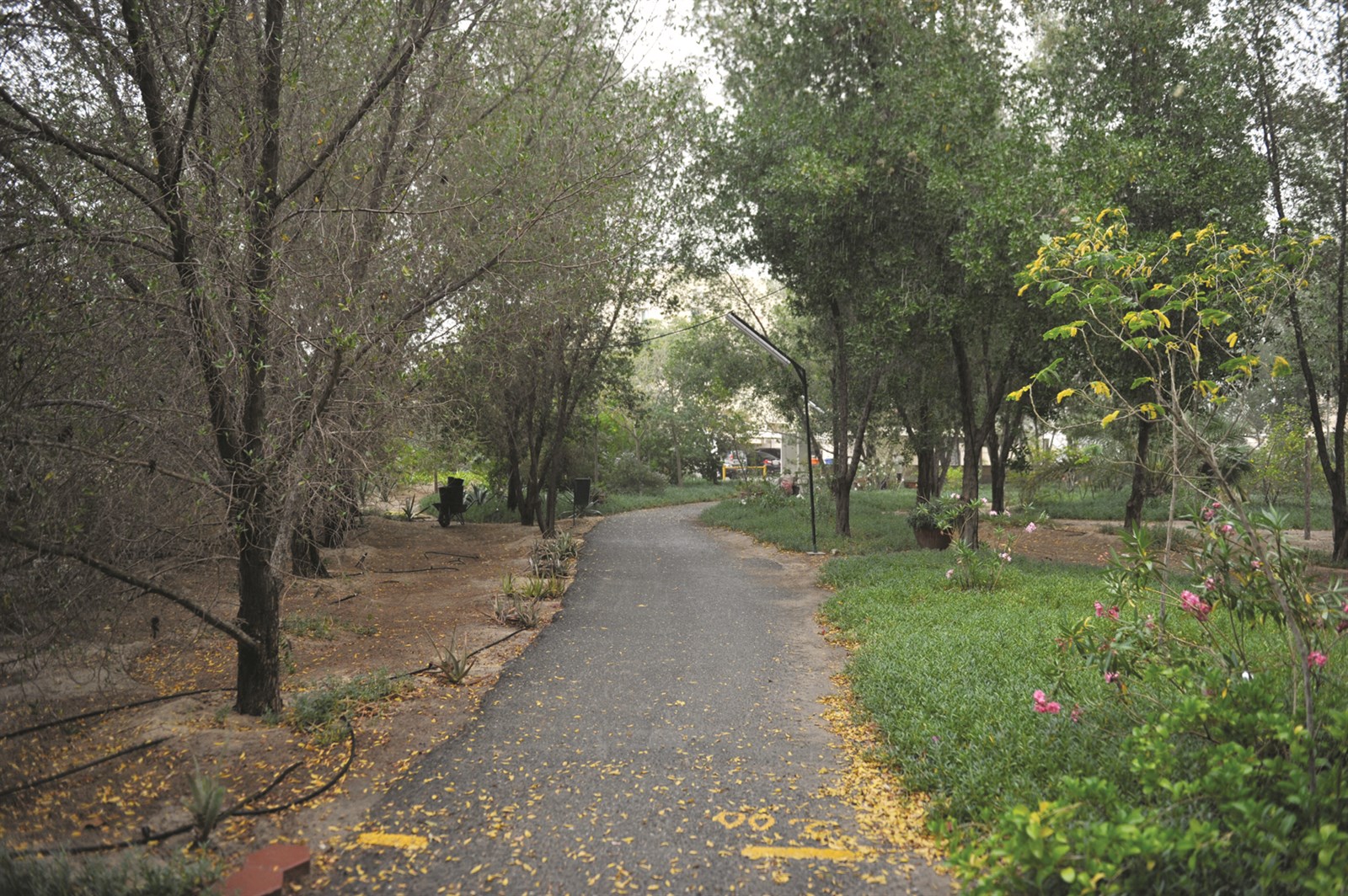 الحديقة أنشئت بجهود وأموال أهالي المنطقة