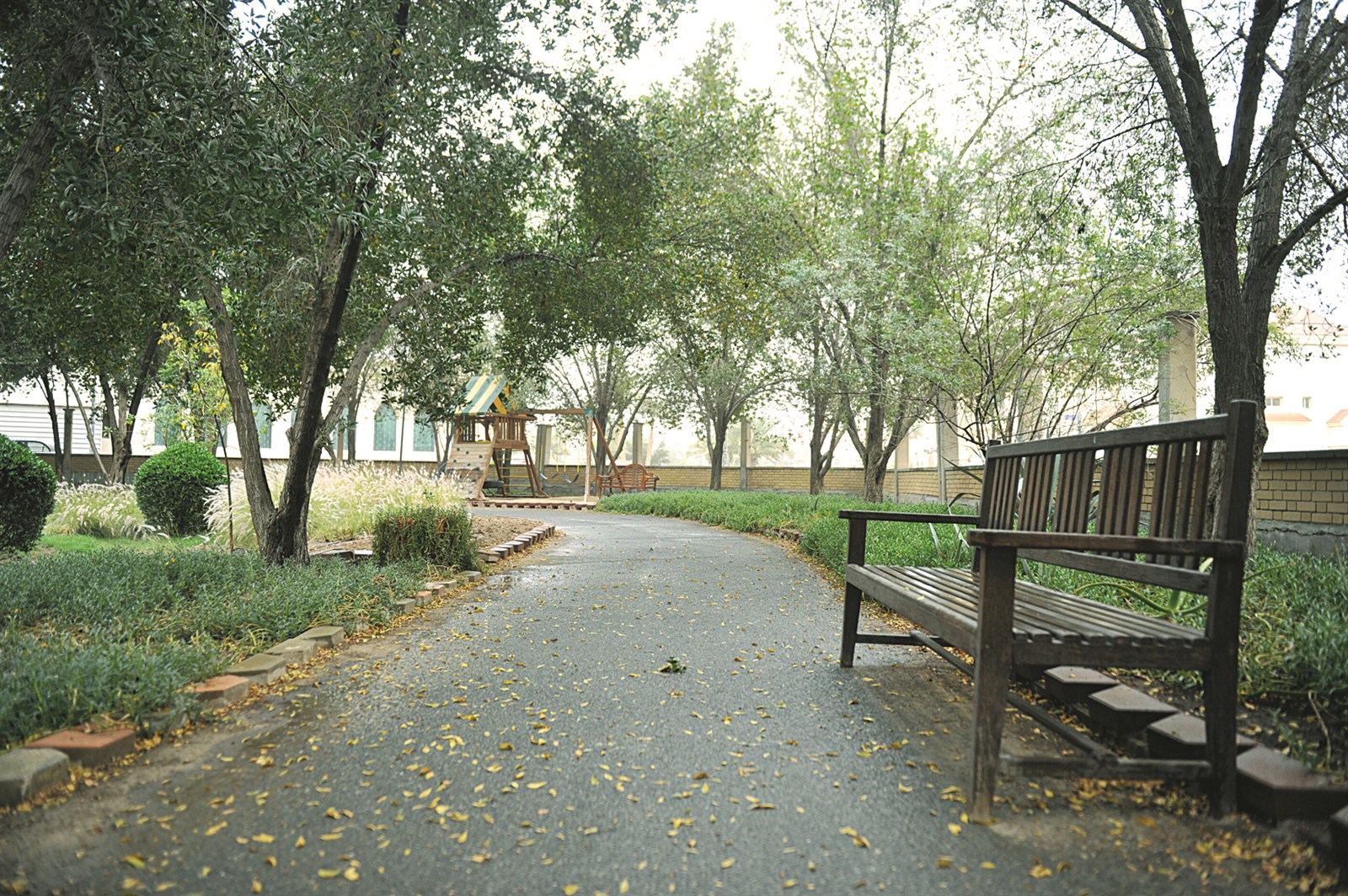 u0645u062au0646u0641u0633 u0623u0647u0644 u0627u0644u0634u0648u064au062e u0627u0644u0648u062du064au062f u0645u0647u062fu062f u0628u0627u0644u062au0634u0648u064au0647    (u062au0635u0648u064au0631 u0646u0648u0631 u0647u0646u062fu0627u0648u064a)