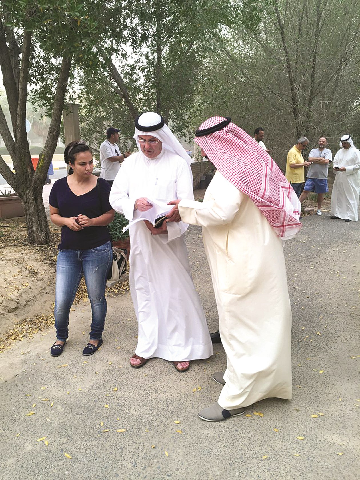 مراجعة أوراق ملكية الأرض وإنشاء الحديقة