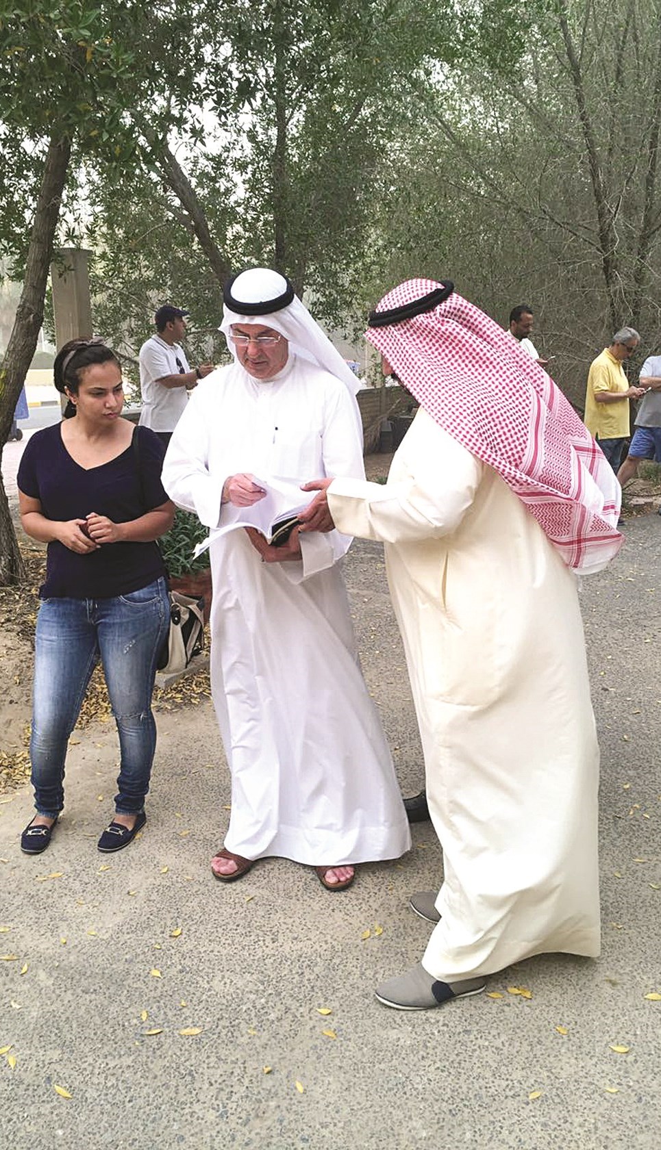 مراجعة أوراق ملكية الأرض وإنشاء الحديقة