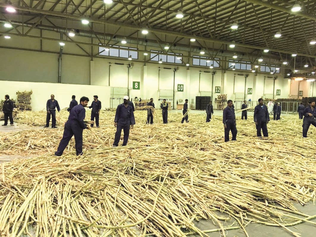 u062au0641u062au064au0634 u0634u062du0646u0629 u0627u0644u0642u0635u0628