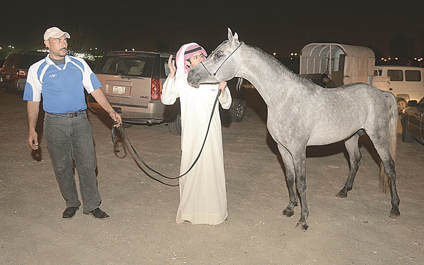 المهر المهداة إلى ابن الذيب