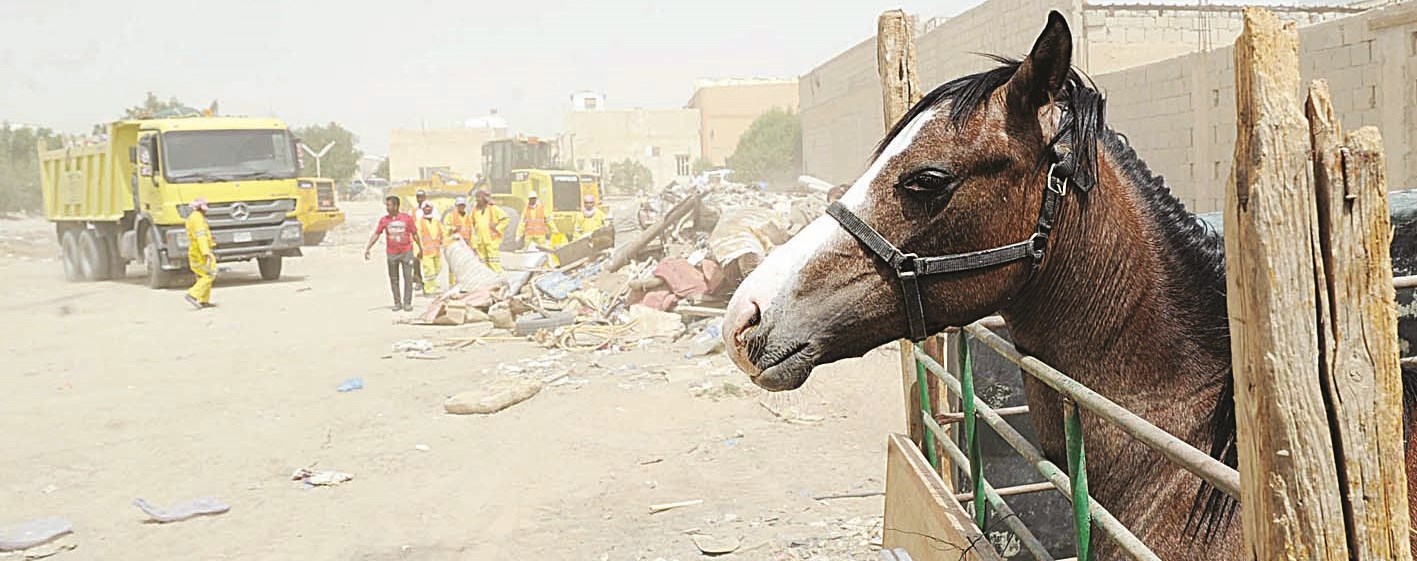 u0639u0645u0627u0644 u0627u0644u0646u0638u0627u0641u0629 u064au0631u0641u0639u0648u0646 u0645u062eu0644u0641u0627u062a u0625u0644u0649 u062cu0648u0627u0631 u0623u062du062f u0627u0644u0627u0633u0637u0628u0644u0627u062a                (u062au0635u0648u064au0631 u0646u0627u064au0641 u0627u0644u0639u0642u0644u0629)