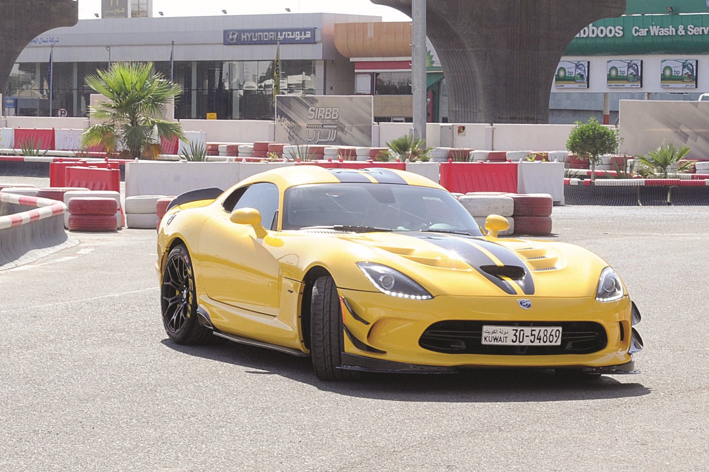 فايبر تتباهى بجمالها(تصوير زكريا عطية)