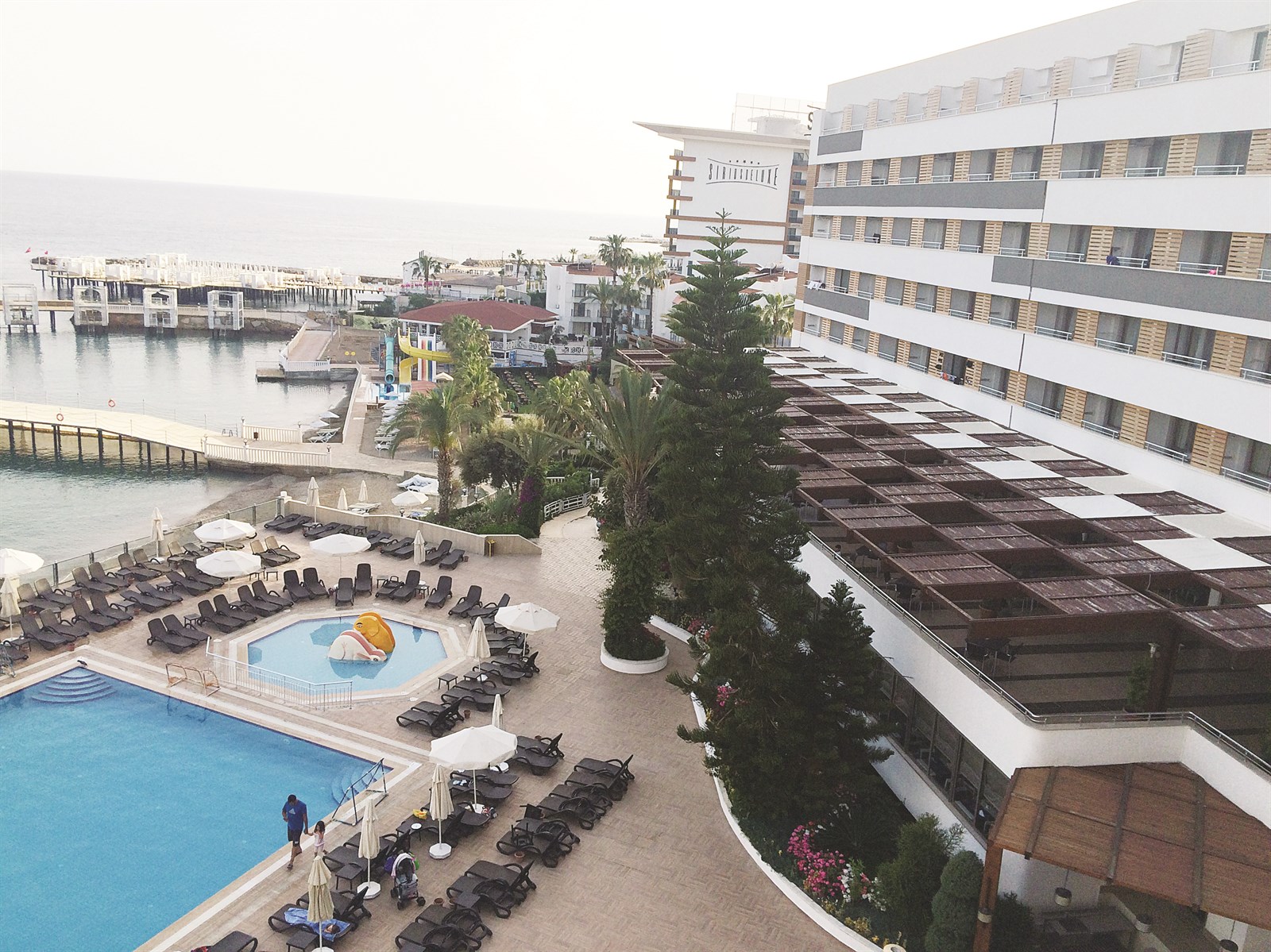 ADNI... خدمات متكاملة تحت سقف واحد