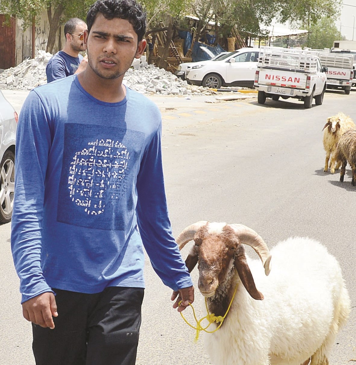 عامل ضبط بعد أن هرب من الحظيرة التي تشهد ذبح الأغنام