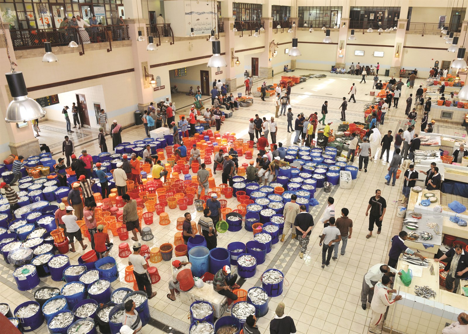 u0639u0634u0631u0627u062a u0627u0644u0633u0644u0627u0644 u0644u0633u0645u0643 u0627u0644u0645u064au062f u0637u0631u062du062a u0641u064a u0627u0644u0633u0648u0642 u0648u0644u0645 u062au062cu062f u0632u0628u0627u0626u0646 (u062au0635u0648u064au0631 u0633u0639u062f u0647u0646u062fu0627u0648u064a)