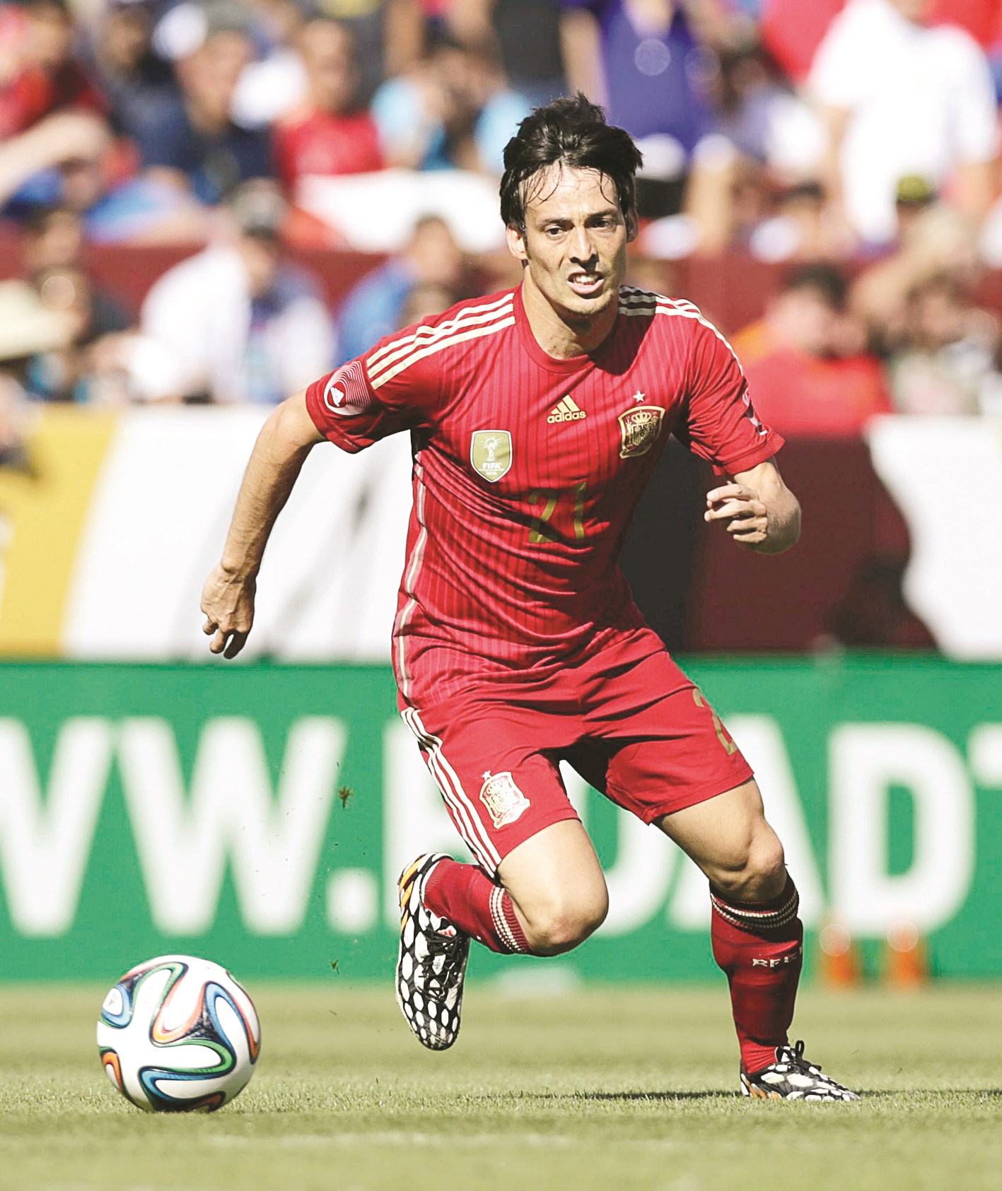 u062fu064au0641u064au062f u0633u064au0644u0641u0627... u00abu0627u0644u0642u0635u064au0631 u0627u0644u0645u0643u0651u064au0631u00bb