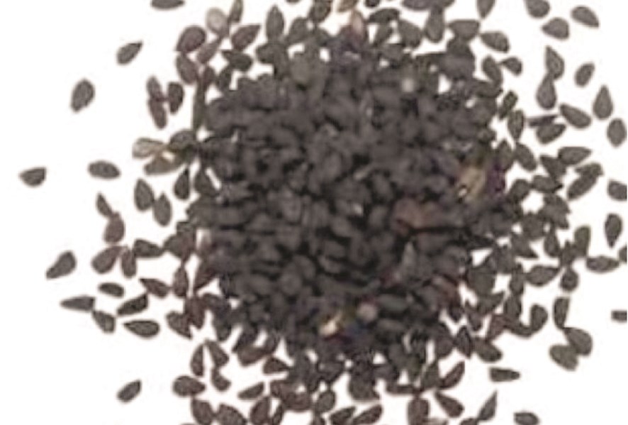 u0625u0646 u0641u064a u0627u0644u062du0628u0629 u0627u0644u0633u0648u062fu0627u0621 u0634u0641u0627u0621 u0645u0646 u0643u0644 u062fu0627u0621 u0625u0644u0627 u0627u0644u0633u0627u0645