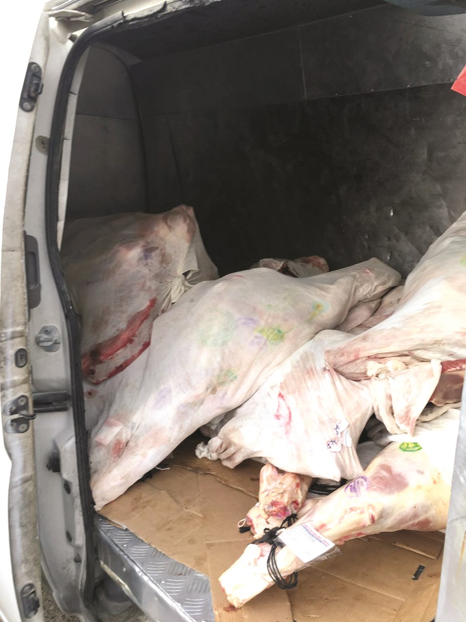 u0644u062du0648u0645 u0645u0643u0634u0648u0641u0629 u0644u0644u062du0634u0631u0627u062a