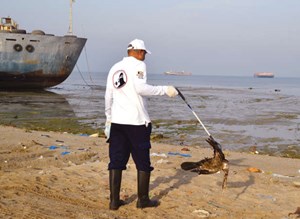 u0627u0631u0634u064au0641u064au0629