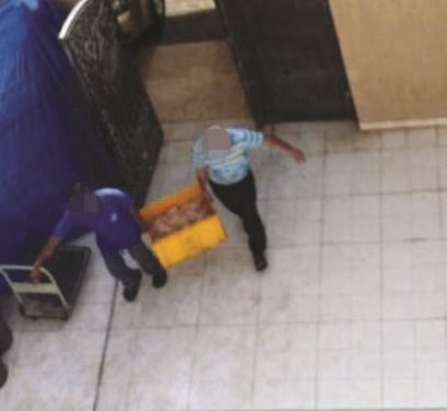 ... وعاملان يحملان بعض الطعام