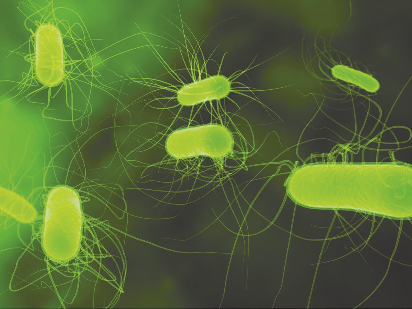 u0644u0643u0644 u062fu0627u0621 u062fu0648u0627u0621 u0641u0625u0630u0627 u0623u0635u0627u0628 u0627u0644u062fu0648u0627u0621 u0627u0644u062fu0627u0621 u0628u0631u0626 u0628u0625u0630u0646 u0627u0644u0644u0647 u0639u0632 u0648u062cu0644