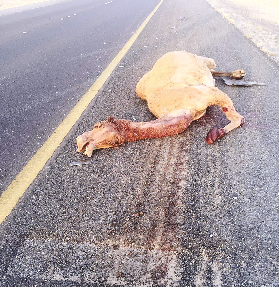 u0628u0639u064au0631 u0646u0627u0641u0642