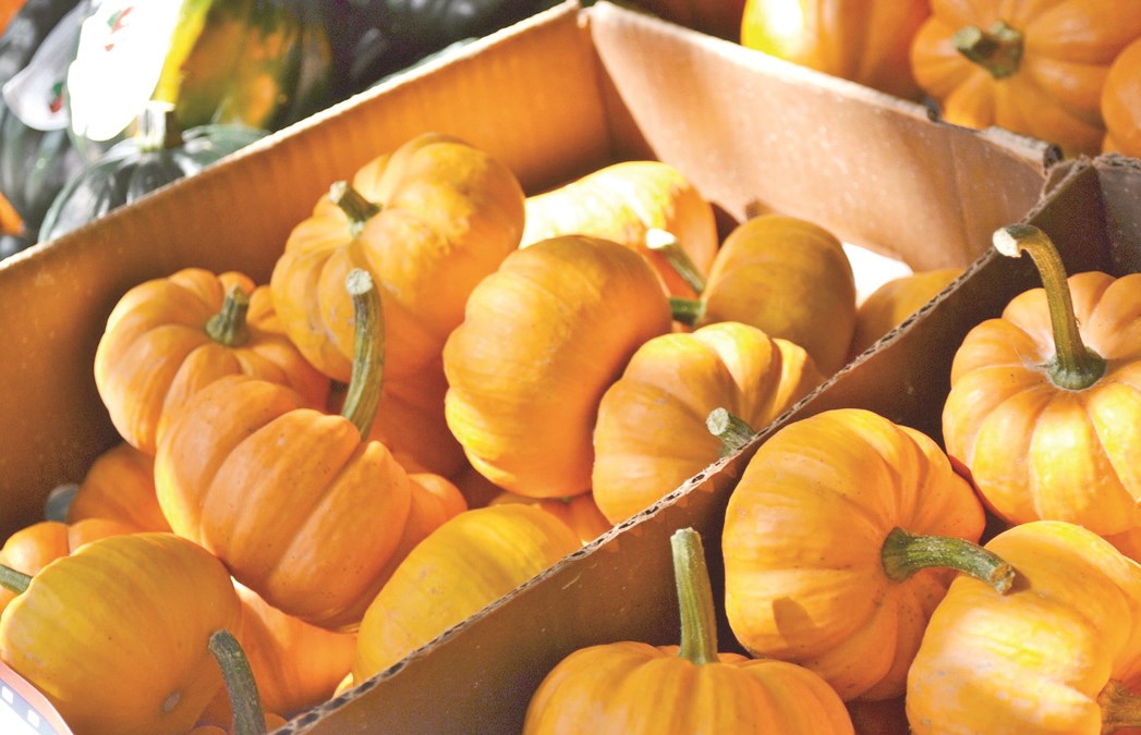 u0627u0644u064au0642u0637u064au0646 u0645u0627u0624u0647 u064au0642u0637u0639 u0627u0644u0639u0637u0634 u0648u064au064fu0630u0647u0628 u0627u0644u0635u062fu0627u0639