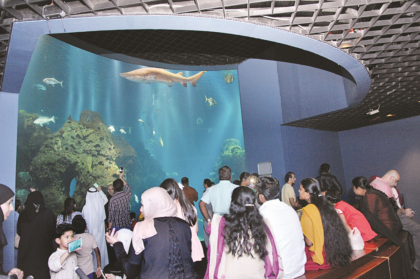 إقبال على «الأكواريوم»