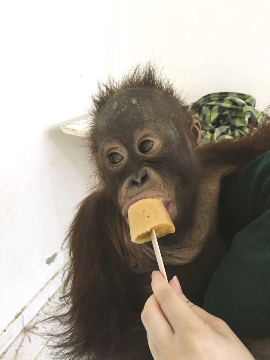 ... u0648u064au062au0646u0627u0648u0644 u0627u0644u0627u064au0633 u0643u0631u064au0645