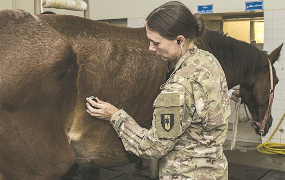 u0627u0644u0631u0627u0626u062f u062cu064au0633u064au0643u0627 u0647u0647u0648u0648u0627 u062au0641u062du0635 u0623u062du062f u0627u0644u062eu064au0648u0644