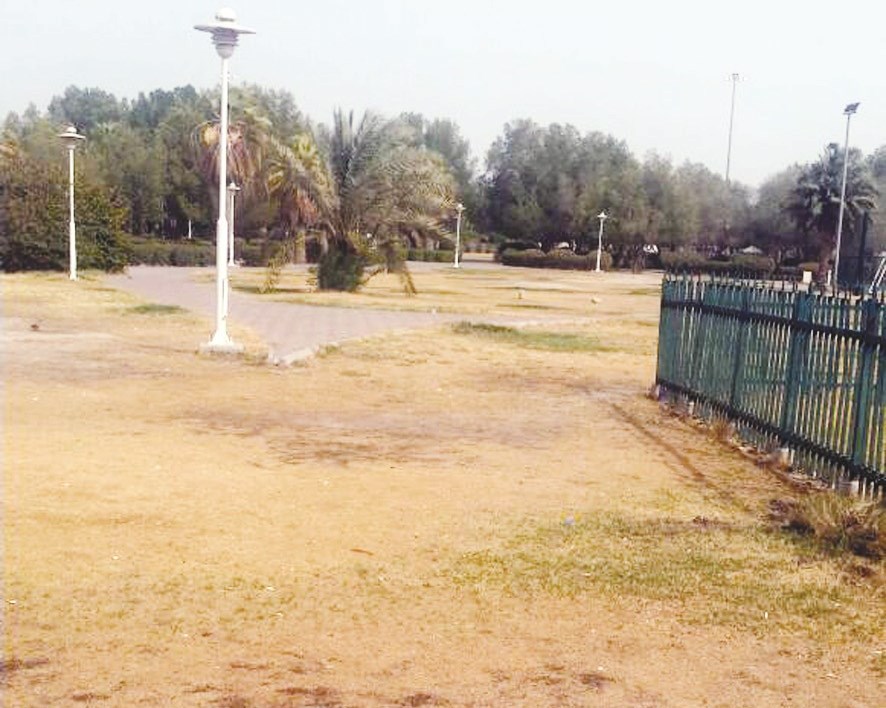 u0623u0631u0636 u062cu0631u062fu0627u0621 u0641u064a u062du062fu064au0642u0629 u0639u0627u0645u0629