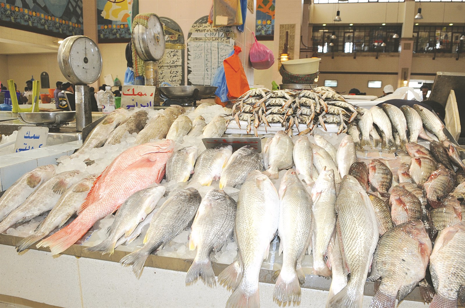 u0645u062eu0627u0644u0641u0627u062a u0643u062bu064au0631u0629 u0641u064a u0645u0632u0627u062fu0627u062a u0627u0644u0623u0633u0645u0627u0643