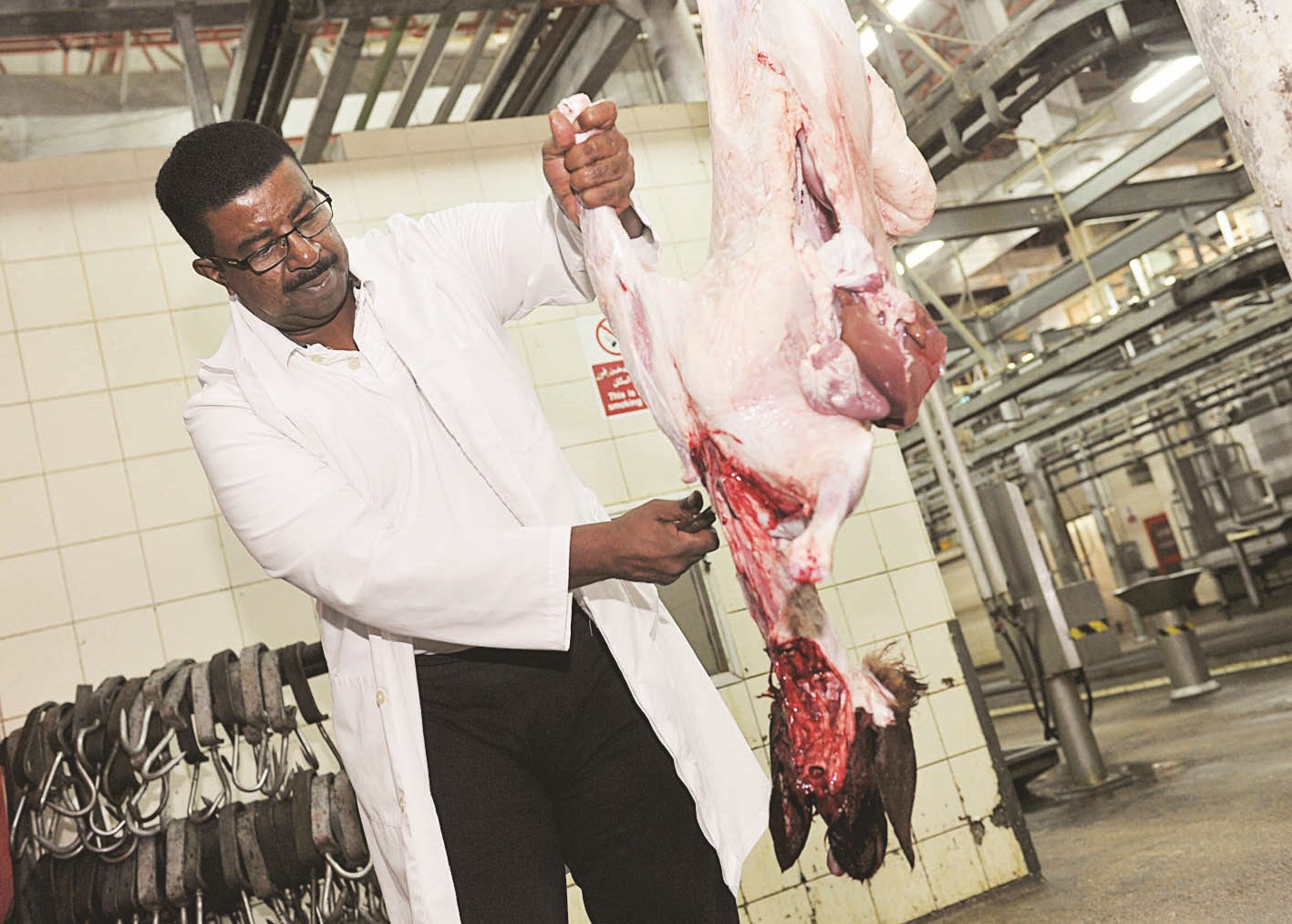 الملا يفحص إحدى الذبائح