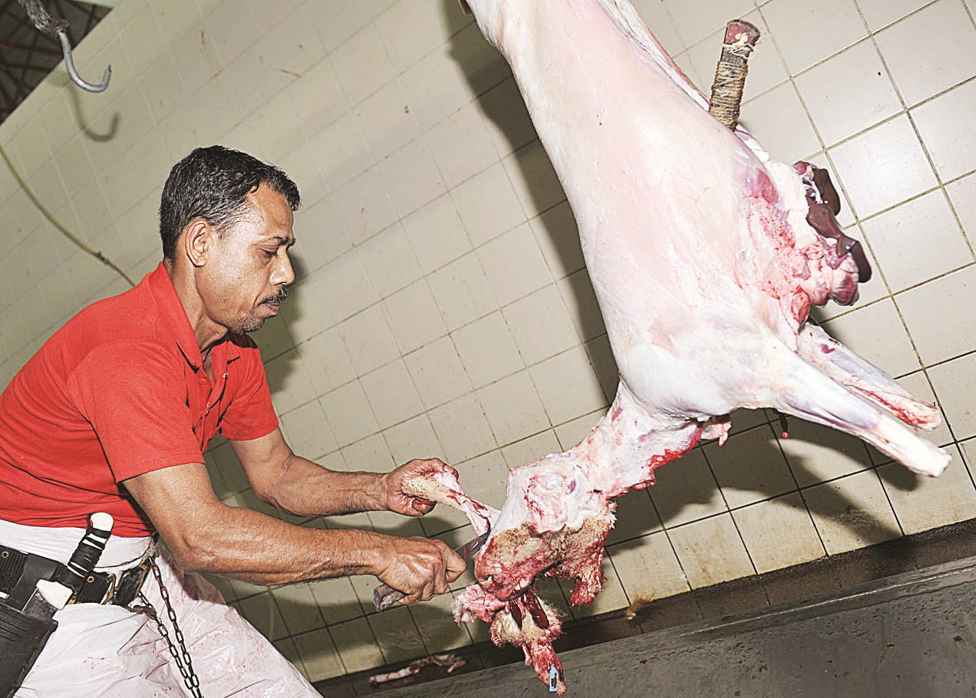 u062cu0632u0627u0631 u064au0633u062au0639u0631u0636 u0645u0647u0627u0631u062au0647   (u062au0635u0648u064au0631 u0633u0639u062f u0647u0646u062fu0627u0648u064a)