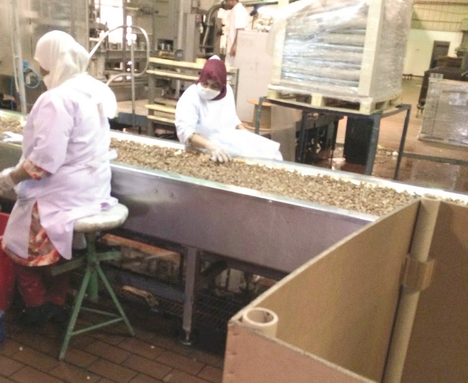 عمليات تعبئة الفول من جديد