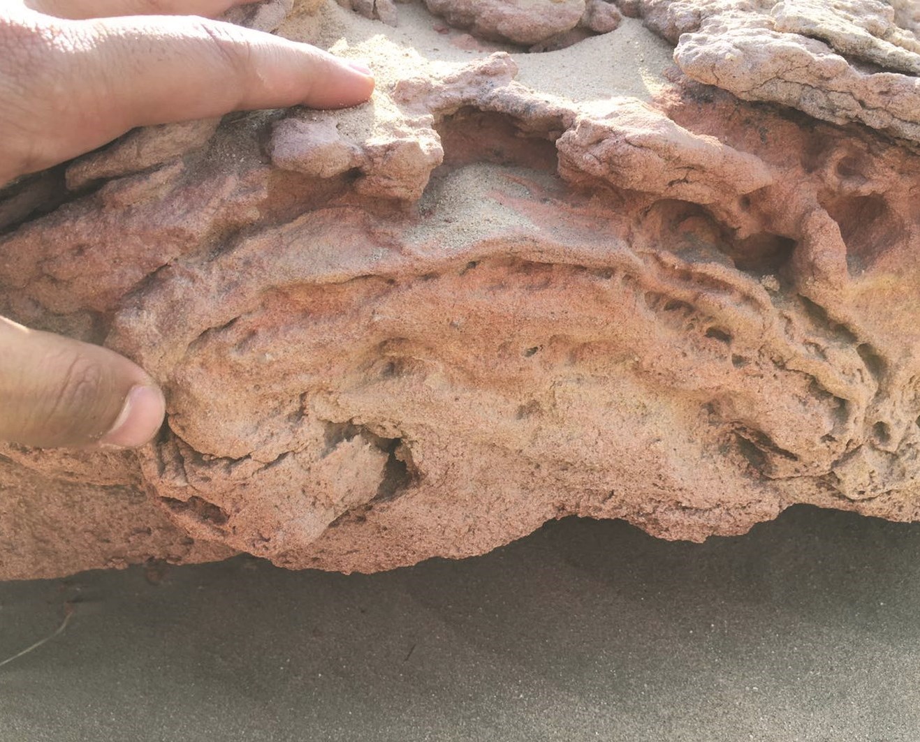 حفريات أثرية عرضة للدمار