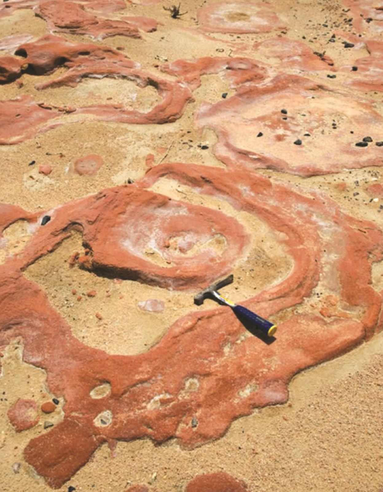 نوع من البراكين الطينية المكتشفة