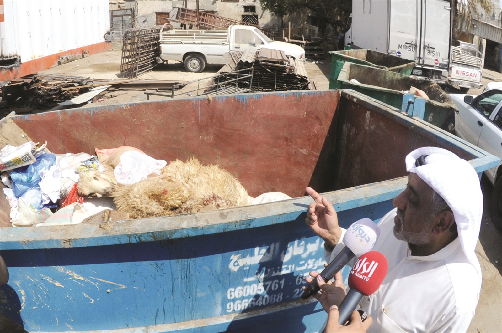 مفتش بيئي يشير إلى أغنام نافقة ملقاة في حاوية