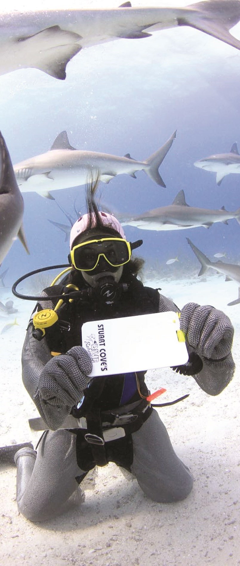 u0623u0633u0645u0627u0643 u0627u0644u0642u0631u0634 u062au062du0648u0645 u062du0648u0644 u0631u064au0645 u0641u064a u0623u0639u0645u0627u0642 u0645u064au0627u0647 u0627u0644u0628u0627u0647u0627u0645u0627u0633