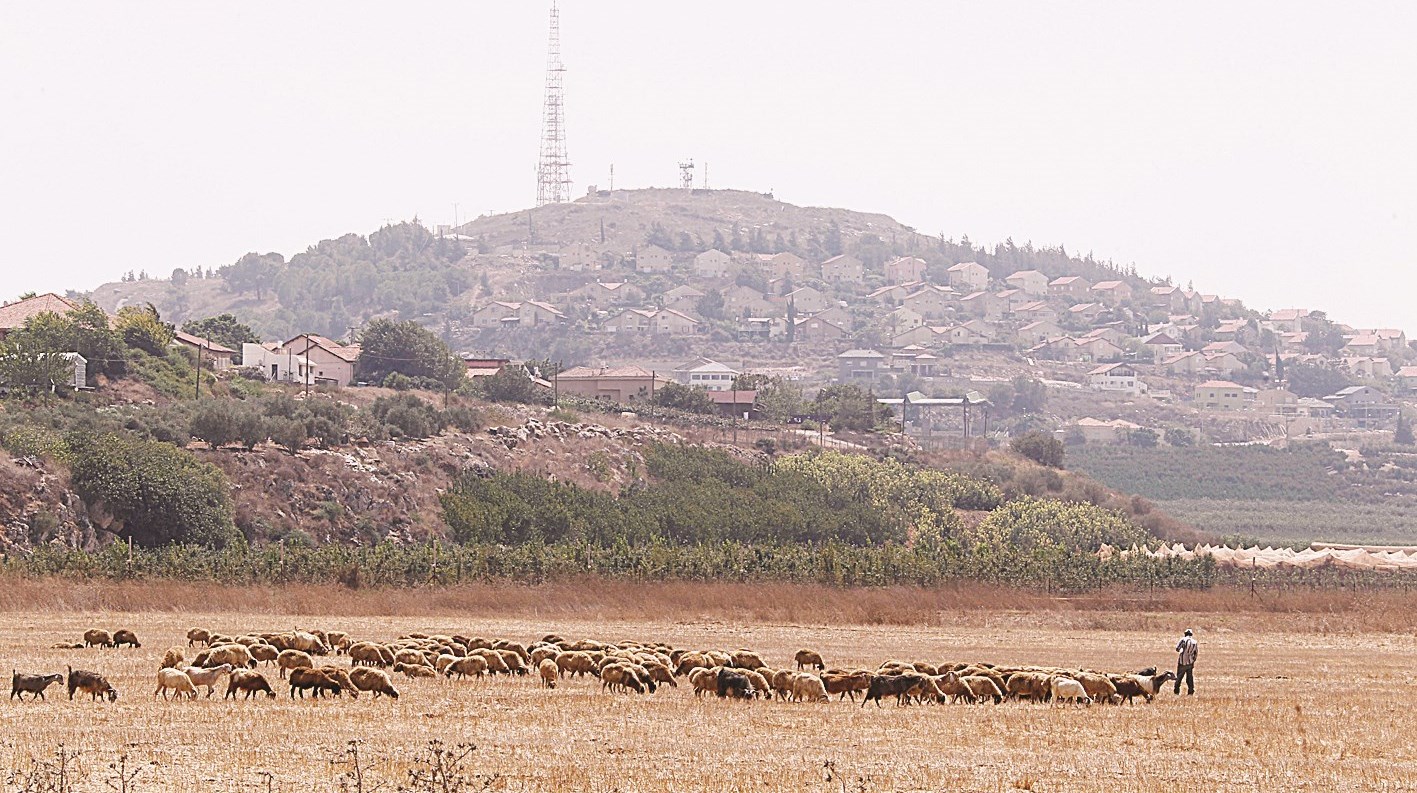 u0642u0637u064au0639 u0645u0646 u0627u0644u0623u063au0646u0627u0645 u064au0631u0639u0649 u0642u0631u0628 u0627u0644u062du062fu0648u062f u0627u0644u0644u0628u0646u0627u0646u064au0629 - u0627u0644u0625u0633u0631u0627u0626u064au0644u064au0629 u0641u064a u0642u0631u064au0629 u0643u0641u0631u0643u0644u0627 (u0631u0648u064au062au0631u0632)