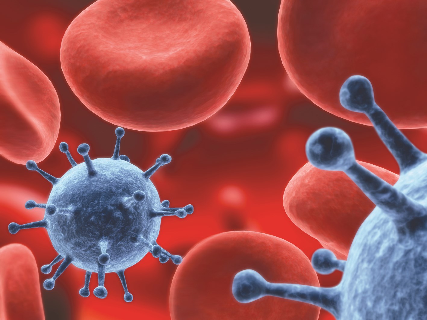 u0625u0639u0627u062fu0629 u0628u0631u0645u062cu0629 u0627u0644u0641u064au0631u0648u0633u0627u062a u0644u062au062du0648u064au0644u0647u0627 u0625u0644u0649 u0648u0633u0627u0626u0644 u0646u0642u0644 u0644u0644u062fu0648u0627u0621 u0625u0644u0649 u0627u0644u062eu0644u0627u064au0627 u0627u0644u0645u0631u064au0636u0629