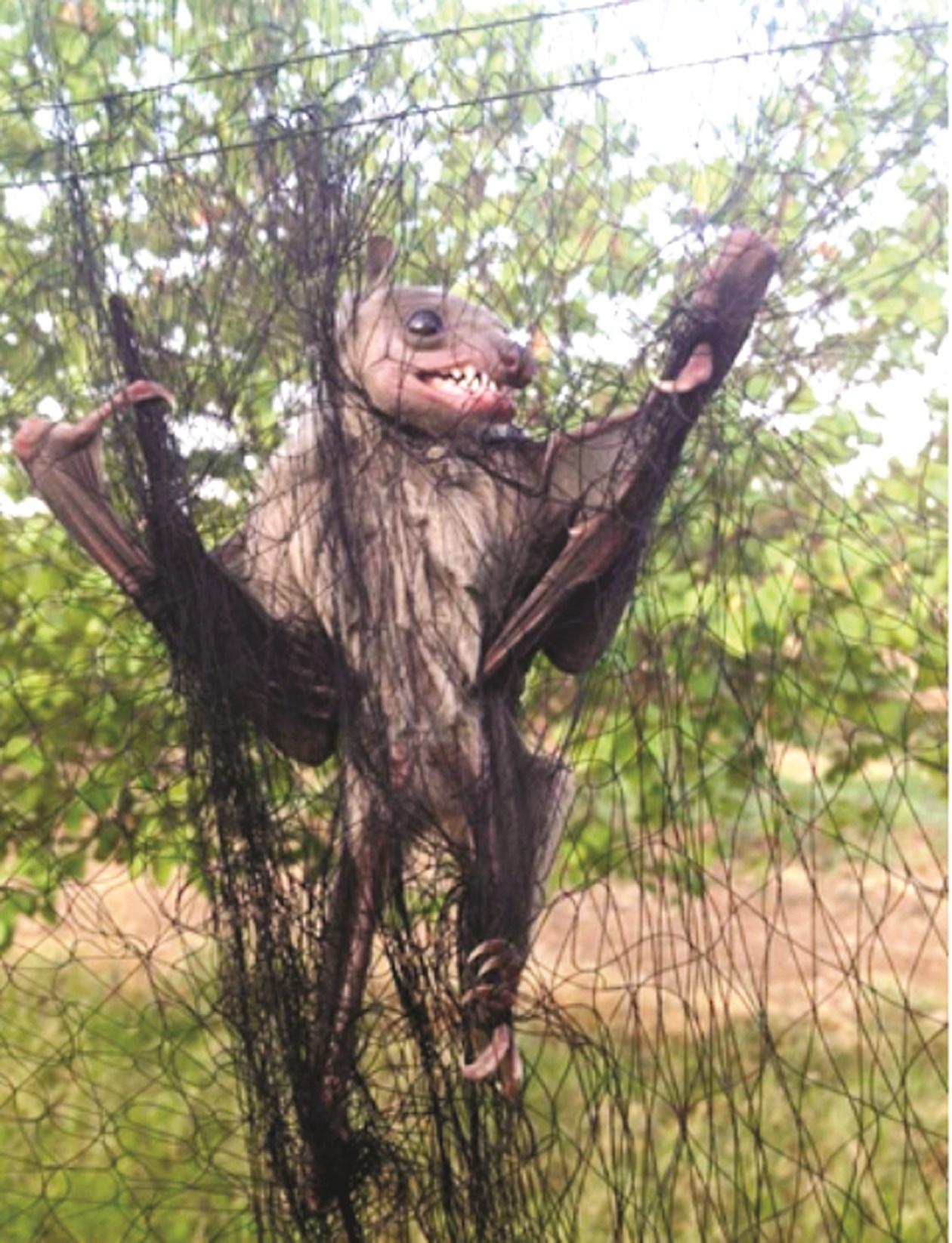 u0627u0644u062eu0641u0627u0634 u0627u0644u0639u0645u0644u0627u0642