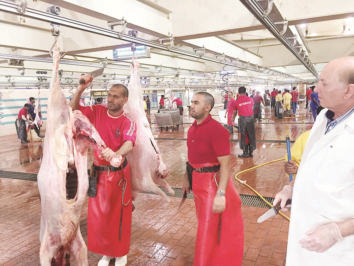 u062cu0627u0646u0628 u0645u0646 u0645u062au0627u0628u0639u0629 u0639u0645u0644 u0627u0644u0642u0635u0627u0628u064au0646