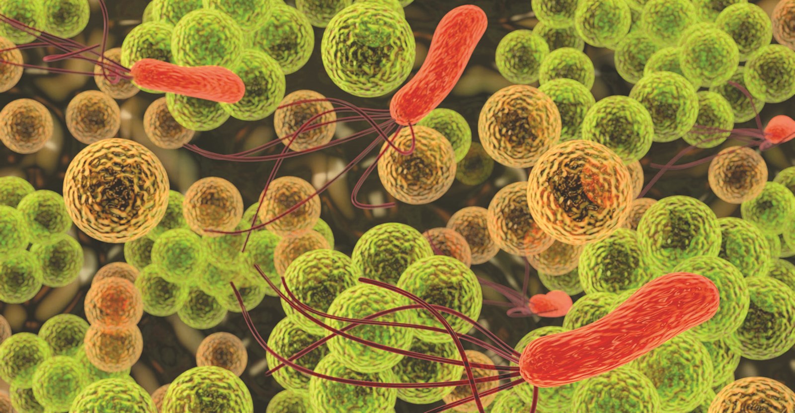 u0628u0643u062au064au0631u064au0627 u0627u0644u062cu0647u0627u0632 u0627u0644u0647u0636u0645u064a